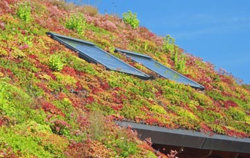 Long Compton living roof systems